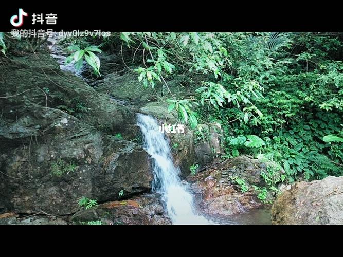 琼中黎母山_景点_出行_传统景点攻略