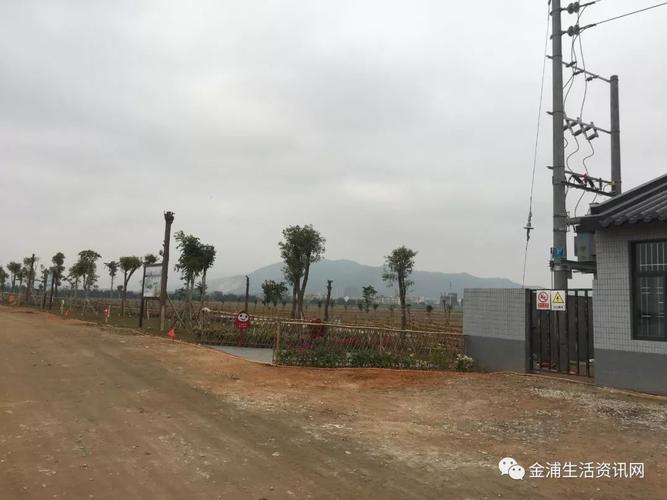 金浦梅花湿地公园景色