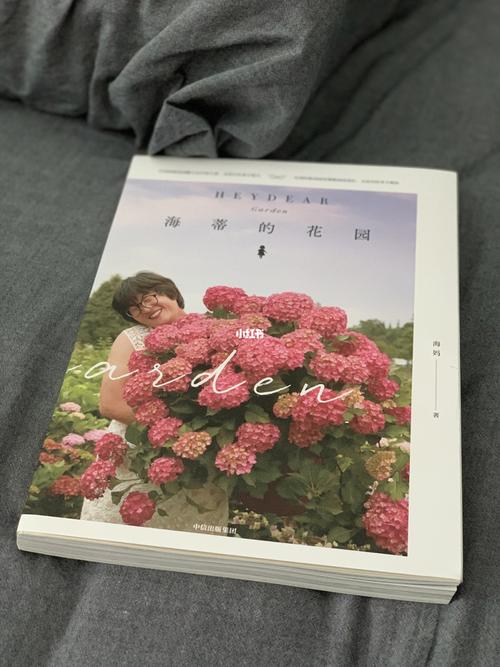 拜读海妈的书98《海蒂的花园》_阳台_新天地_旺角_手机_养花_阳台