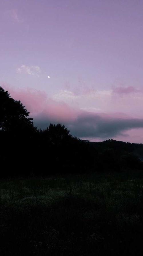 都是ins风格的壁纸,太多了, 9个9个上传有点费流量!