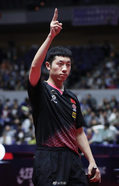 国乒许昕个人资料简介许昕运动生涯及主要奖项介绍