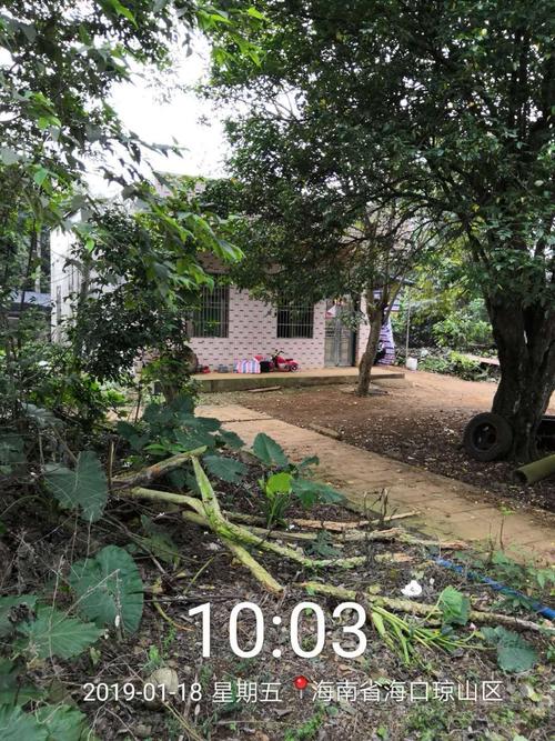 2.1,云龙镇云岭村委会本良村民宅前道路一侧有纸屑及塑料垃圾.10