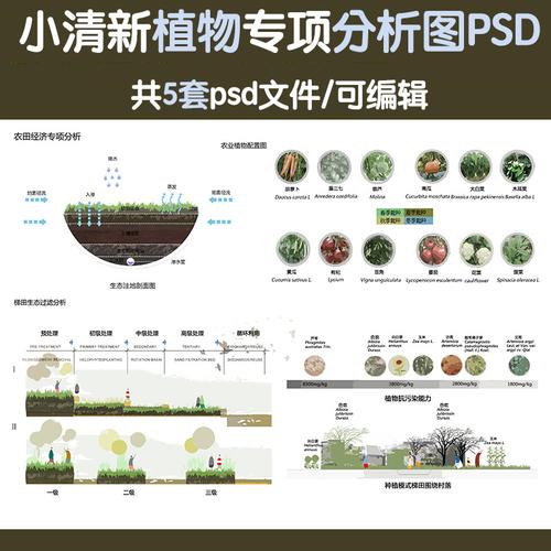 植物园林景观ps小清新分析图psd立面素材分层源文件样图