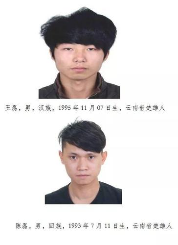 关于公开征集速进林等人涉黑涉恶犯罪团伙违法犯罪线索的通告