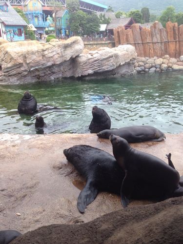 游珠海隆动物园