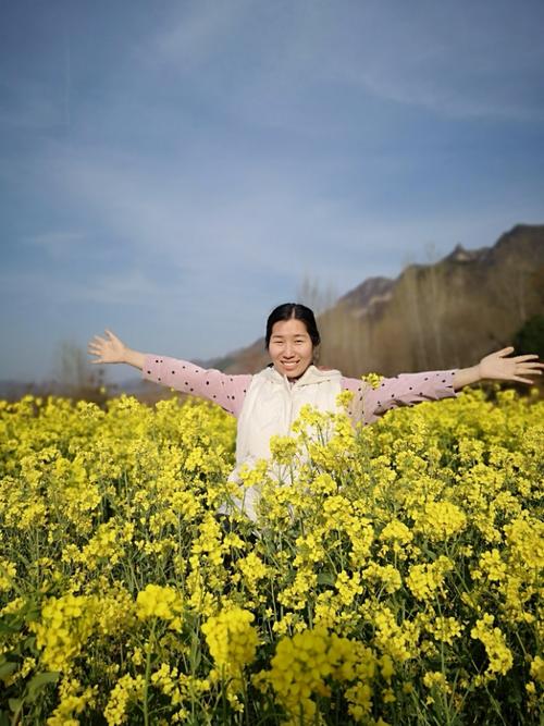 油菜花