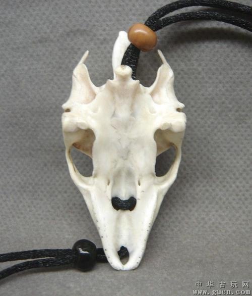 巨鳖颅骨挂件