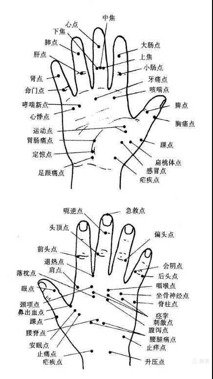 大鱼际:是手掌掌面桡侧大拇指根部与掌根连接部位,肌肉丰厚处.