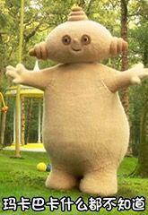 收集   点赞  评论  玛卡巴卡 0 8 小湆  发布到  花园宝宝^ 图片