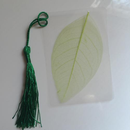 天然玉兰叶脉书签自制diy材料植物树叶标本古典中国风小礼品