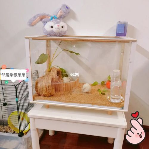 居家萌宠|96仓鼠笼太适合养芦丁鸡了_仓鼠_宠物_南京自由行热门