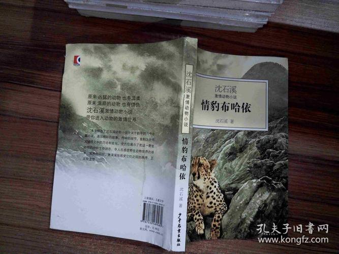 情豹布哈依:沈石溪激情动物小说