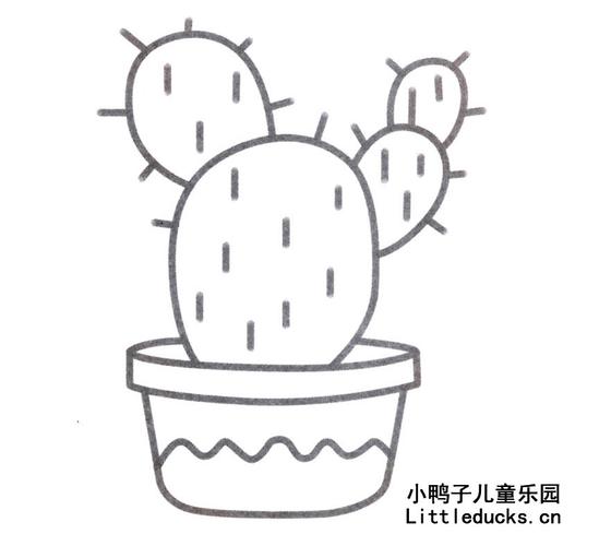 仙人掌的简笔画图片大全