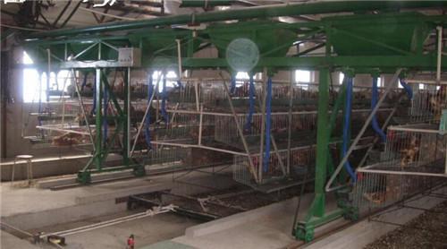 喂料机_恒力机械_养鸡场喂料机