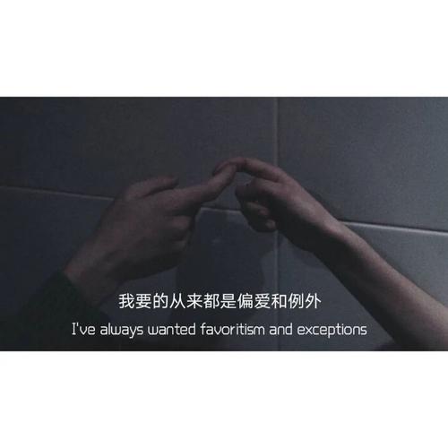 我要的从来都是偏爱和例外