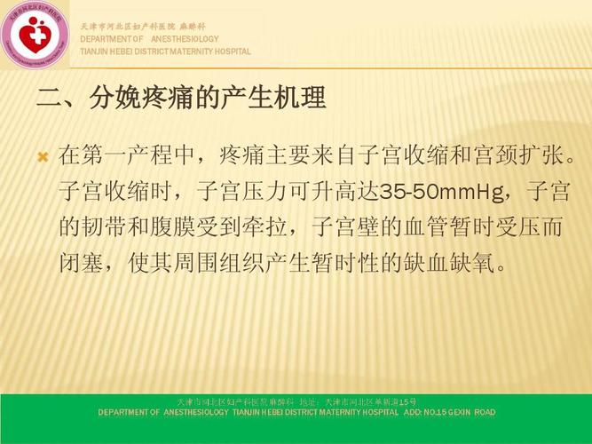 分娩镇痛ppt