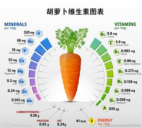 胡萝卜维生素图表图片
