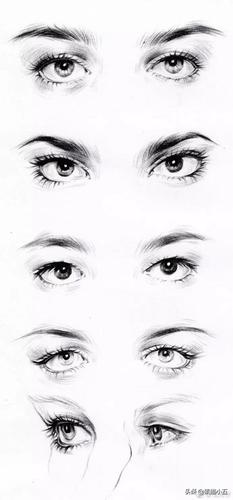 简单易学的线描插画练完这一篇小白可以逆袭大神