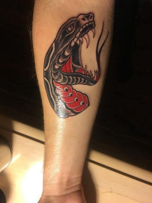 手臂纹身素材 男生手臂上彩色的蛇头纹身图案