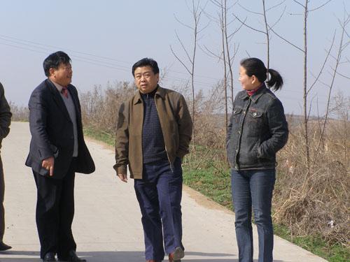 市委书记张松坚同志到管店镇检查指导工作-明光先锋网