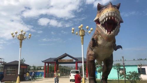 曲阜动物园  一起来玩吧!