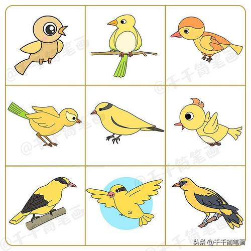 黄鹂鸟简笔画如何画斑马简笔画怎么画老虎简笔画乌龟简笔画怎么画