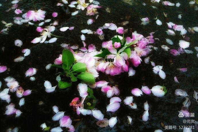 游丝软系飘春榭,落絮轻沾扑绣帘.
