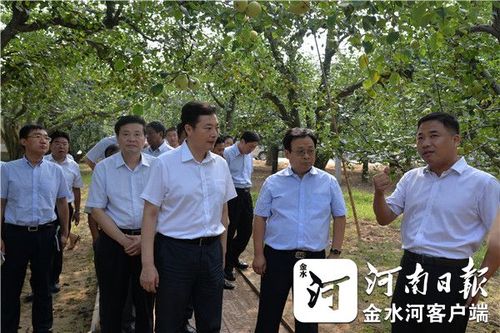 市长张建慧(前中),副市长张家明(右二)视察宁陵万顷梨园.