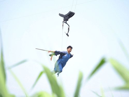 高空威亚 德清县下渚湖景区引进了高空威亚设备 大家梦寐以求的 "天