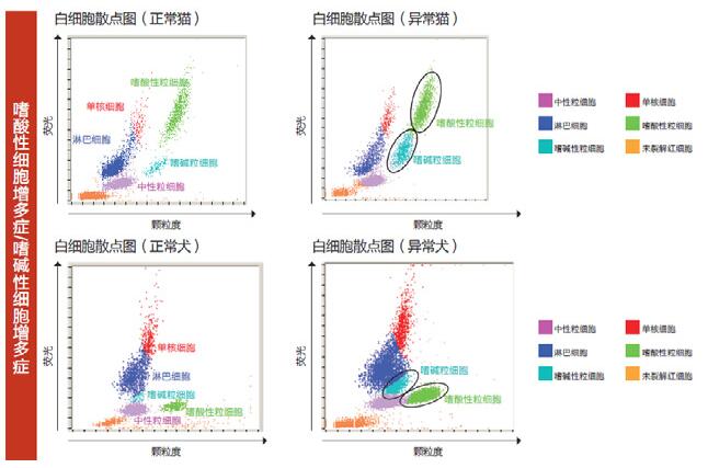 idexx procytedx 血细胞分析仪散点图判读