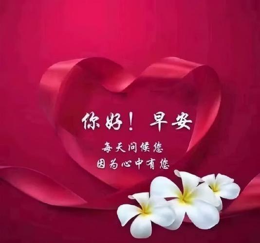 非常简短的早上好美图鲜花带字,早晨好幸福暖心的问候