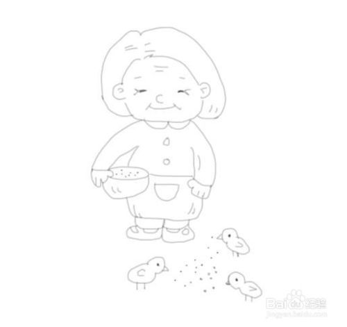喂小鸡的老奶奶简笔画