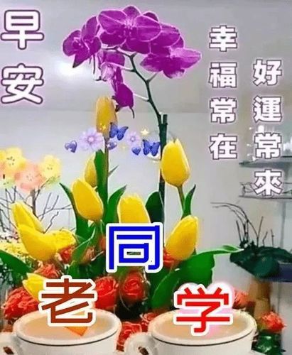 早上好朋友,问候老同学的早上好表情图片,老同学早安