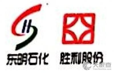 山东东明石化集团聊城胜信能源有限公司