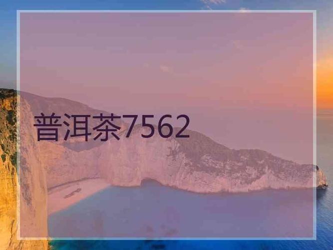 普洱茶7562