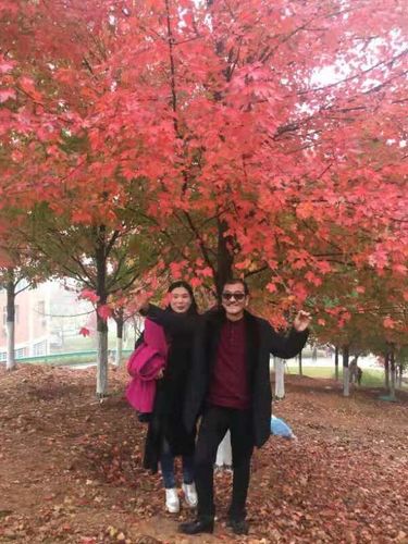 文华学院看红叶