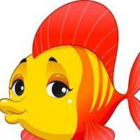 带有鱼的微信头像