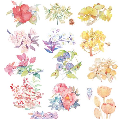 水彩手绘小清新各种花枝花朵装饰素材