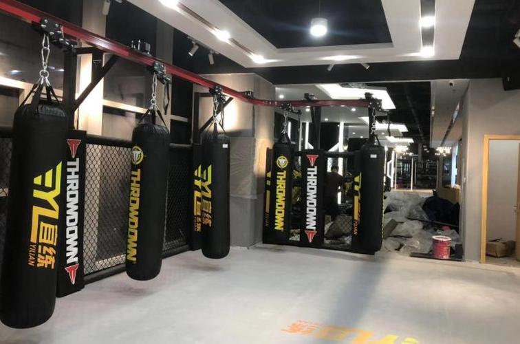 2021值得选购的拳击沙袋品牌推荐汇总(完整版)(建议收藏)什么牌子的