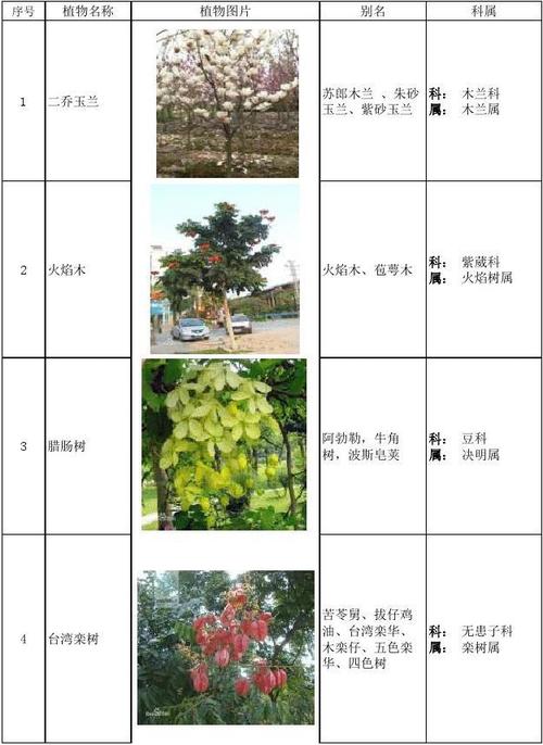 最系统的常用园林植物表——大花乔木
