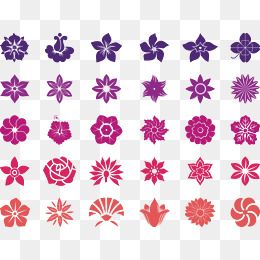 对称花朵图片大全