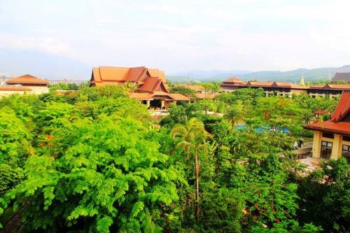 驾驭维特拉纵横热带雨林,心已迷失在西双版纳
