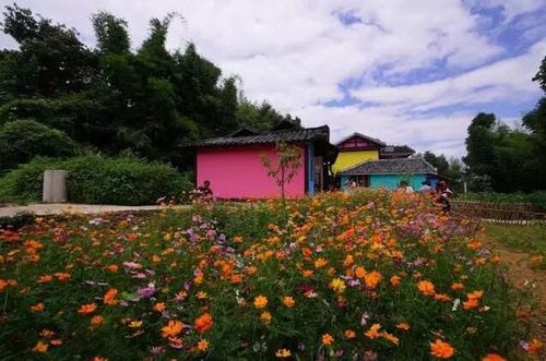 山,看得见水,记得住乡愁"的地方就像童话世界,云雾缭绕中的彩色房屋