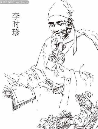 李时珍风云人物手抄报手抄报图片大全