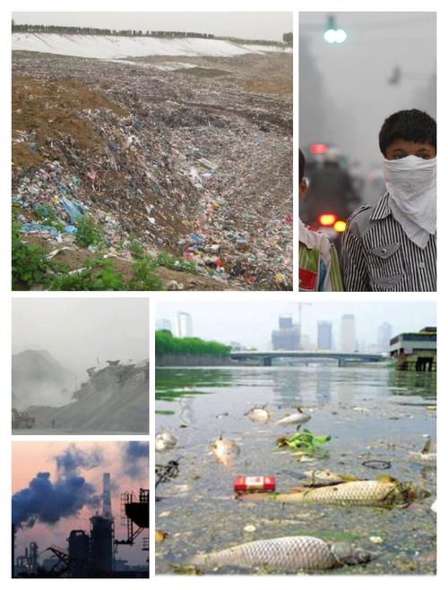 自然环境的概述,环境污染类别,生态破坏类别,如何保护环境