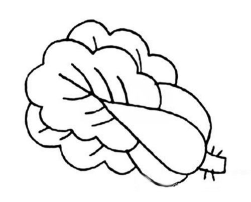 青菜的简笔画怎么画(一)蔬菜是生活中必备的食物,除了米跟面意外