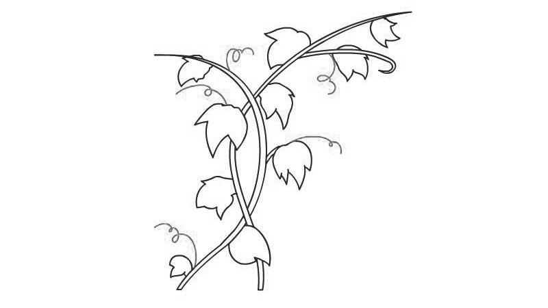 最后增加一些线条.