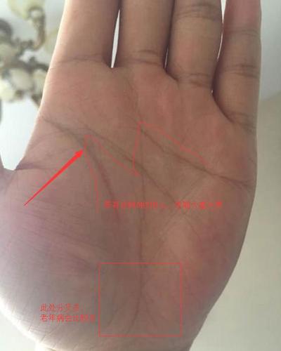 有此种m型手相的人,年轻时身家过1000万,晚年却穷困潦倒!