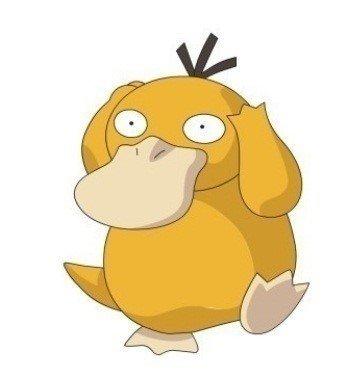 中文名称 可达鸭(鸭嘴兽) 外文名称 コダック psyduck 体    重 19.