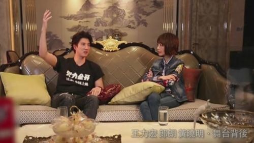王力宏做客鲁豫有约我不渴望做一个演技派的演员